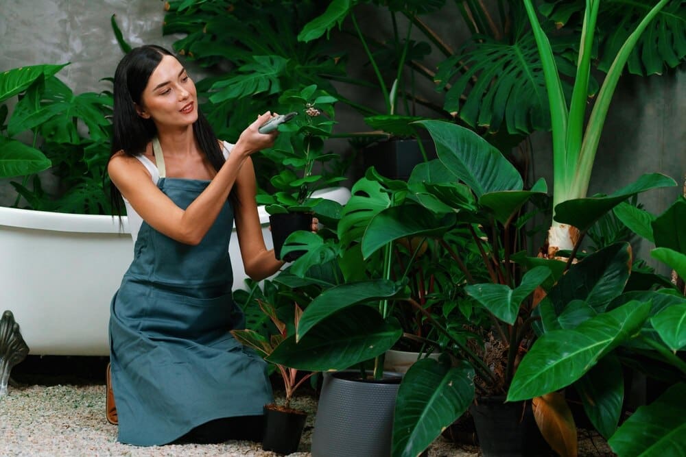 A young woman tends to a large tropical plant in a minimalist garden setting.