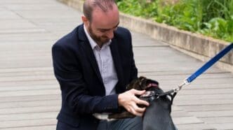Unlocking the Water Dog: Discover Your Personality Traits