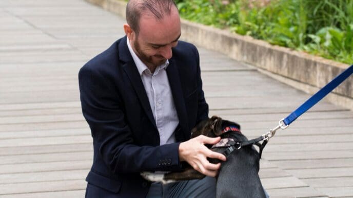 Unlocking the Water Dog: Discover Your Personality Traits