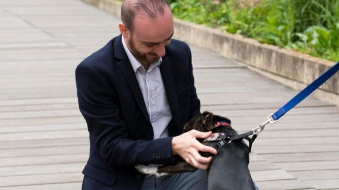 Unlocking the Water Dog: Discover Your Personality Traits