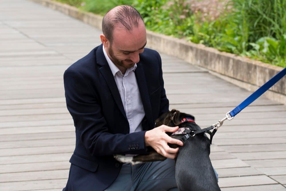 Unlocking the Water Dog: Discover Your Personality Traits