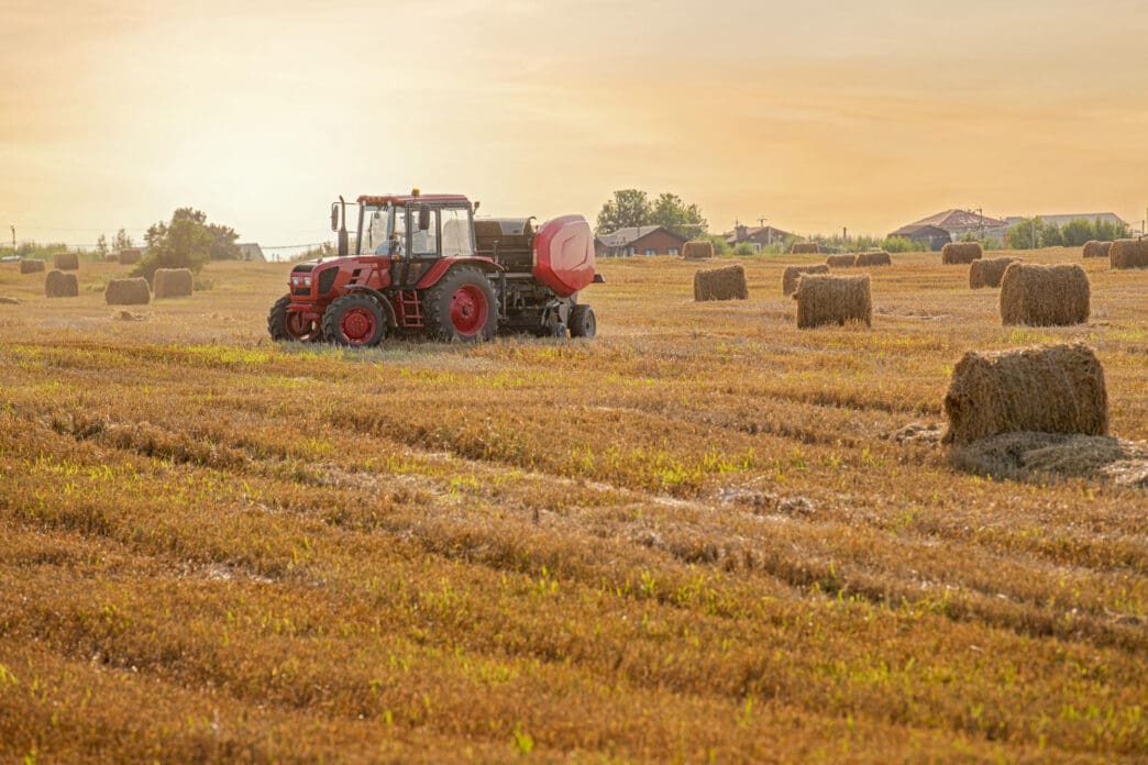 A red tractor with a round bale attached harvests hay in a field at sunset