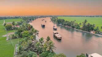 Houseboats on a tranquil river flowing through lush green paddy fields and palm trees in Kerala, India