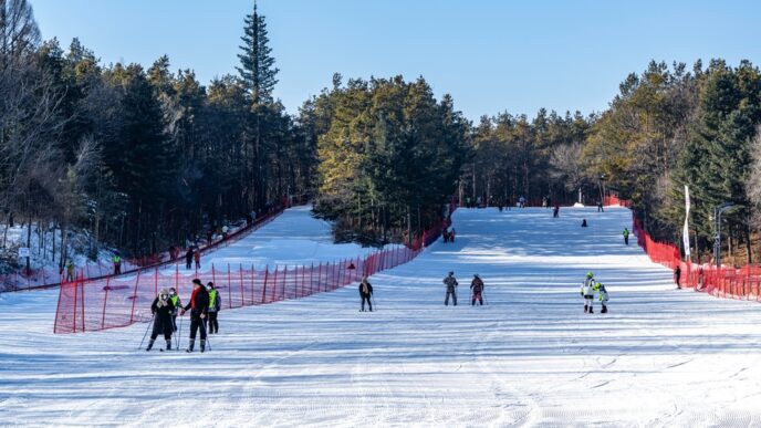 Skiers and snowboarders are spread across a snowy ski slope on a clear, sunny day