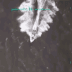 An overhead aerial view shows a white vessel speeding across the water, leaving a large white wake behind it