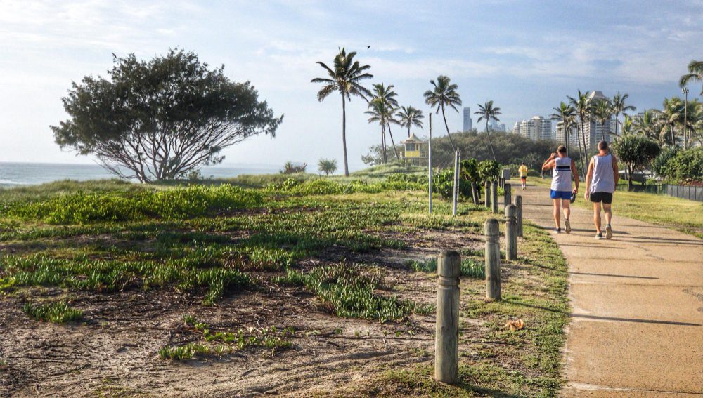 Two people running on a paved trail next to a grassy area with palm trees and an ocean view