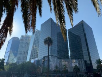 Iconic skyscrapers on Paseo de la Reforma in Mexico City, with palm fronds in the foreground