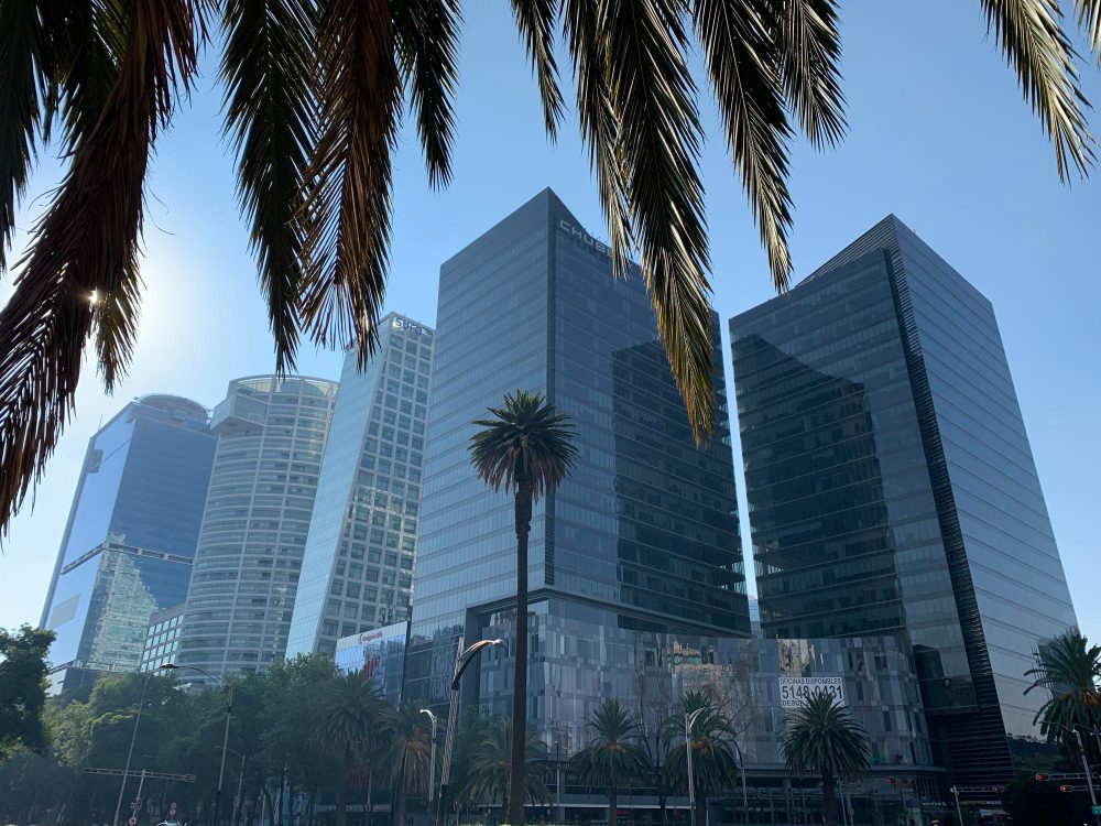 Iconic skyscrapers on Paseo de la Reforma in Mexico City, with palm fronds in the foreground