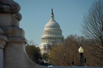 The U.S. Capitol dome is framed by trees and a stone railing against a clear sky