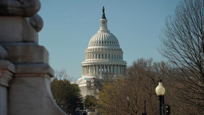The U.S. Capitol dome is framed by trees and a stone railing against a clear sky