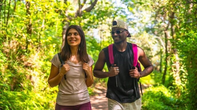 Hikers walk along a forest trail, taking in the scenic natural surroundings.