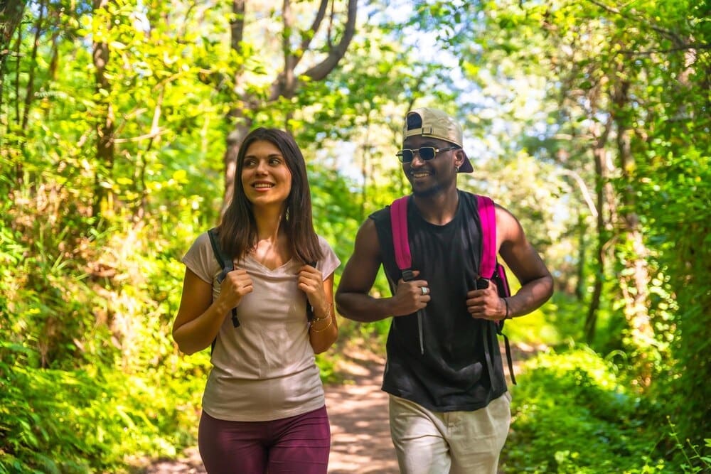 Hikers walk along a forest trail, taking in the scenic natural surroundings.