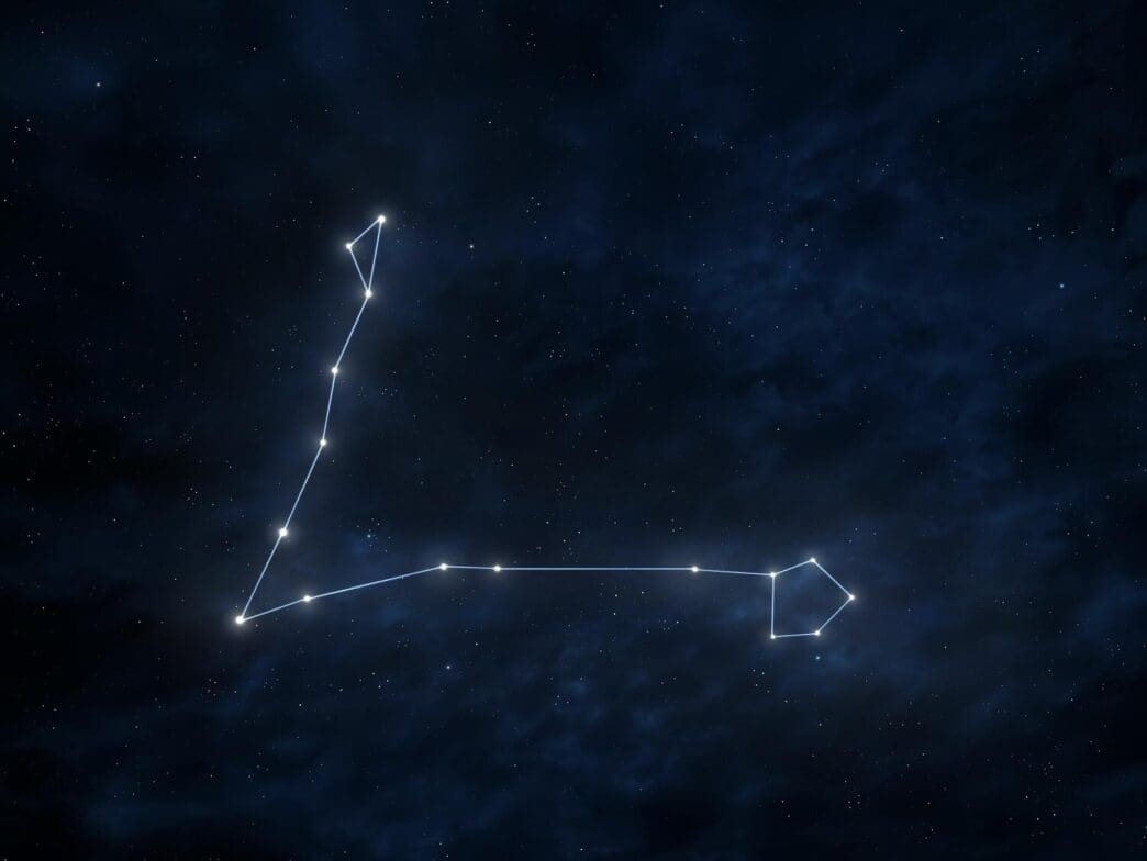 The Pisces constellation, represented by two fish, is visible in a dark, starry night sky.