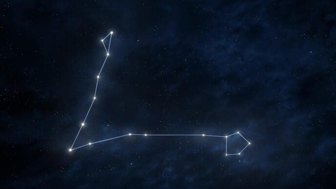 The Pisces constellation, represented by two fish, is visible in a dark, starry night sky.