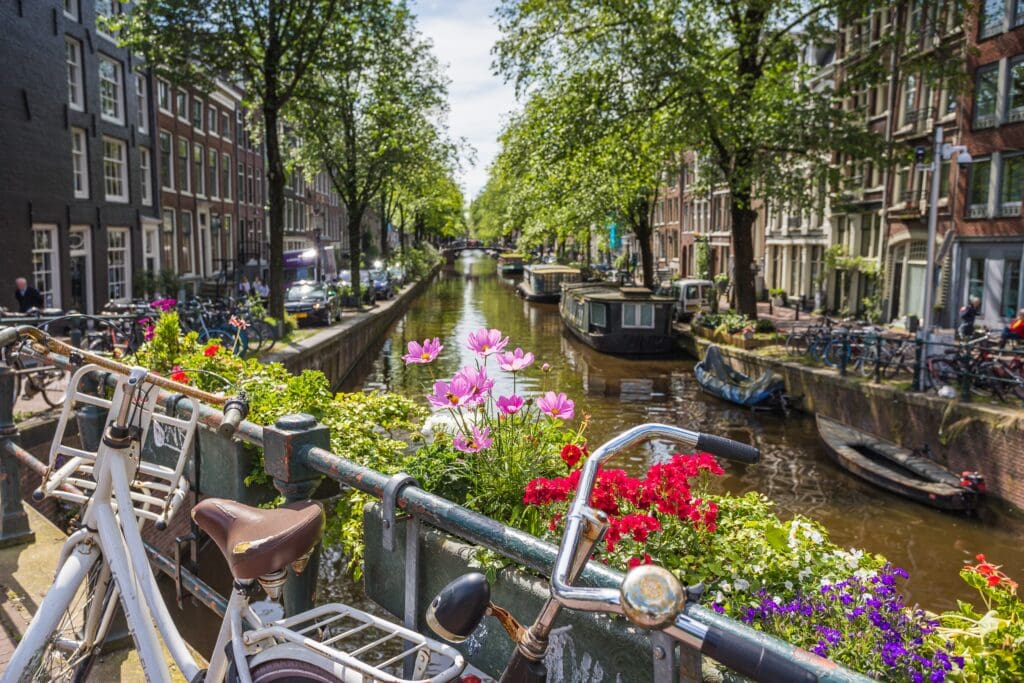 A bicycle on a bridge with pink flowers overlooks the picturesque Bloemgracht canal in Amsterdam, lined with trees and houseboats.