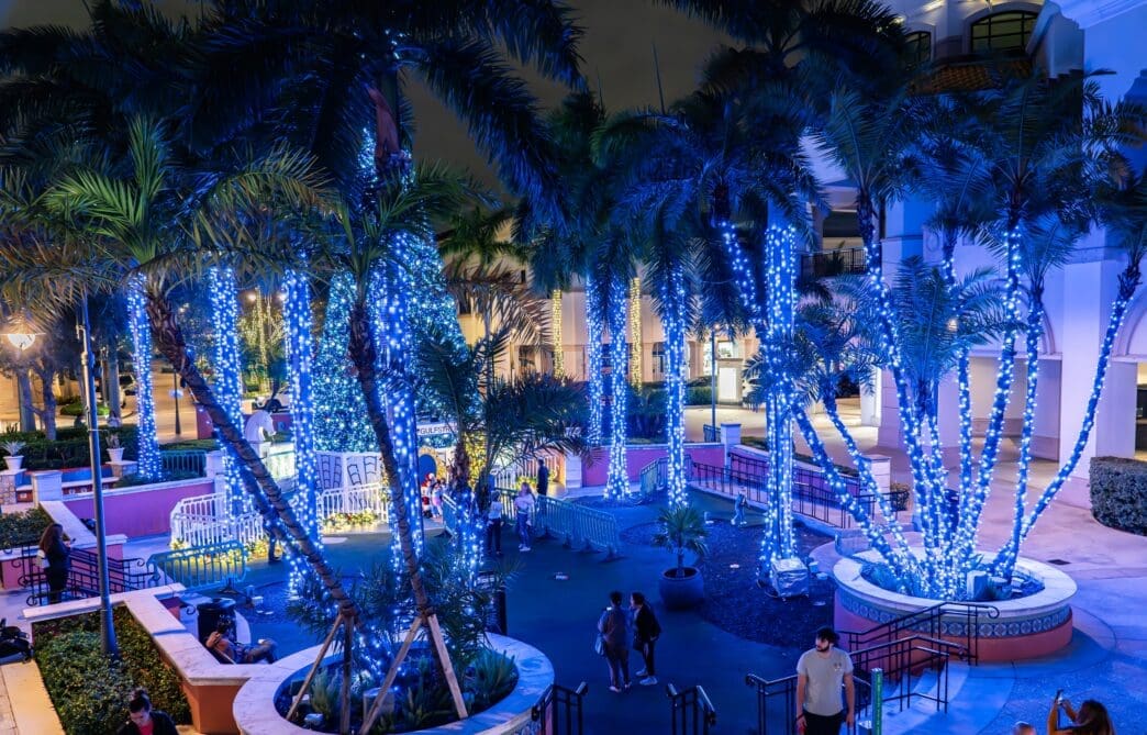 Palm trees wrapped in blue Christmas lights at Gulfstream Park at night.