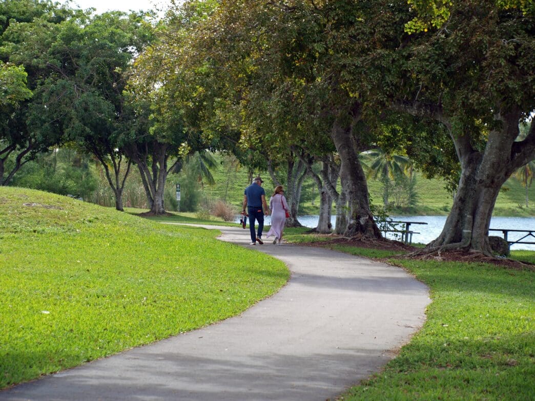 A mature couple seen from behind walking on a winding path in a sunny park.