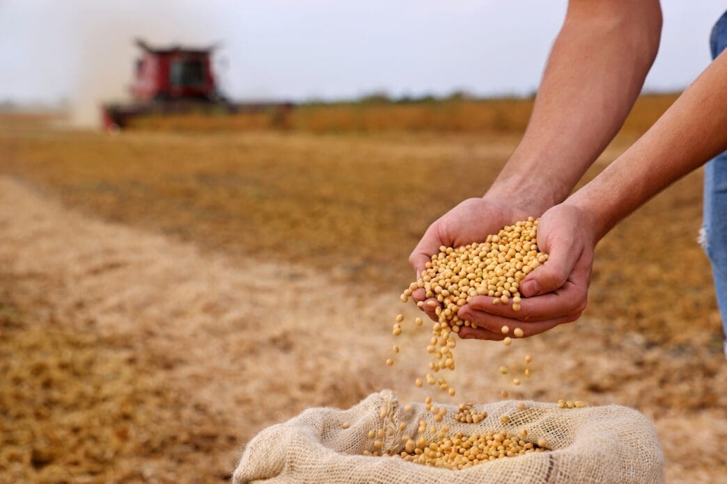 A farmer's cupped hands pour soybeans into a burlap sack, with a combine harvester in the background.