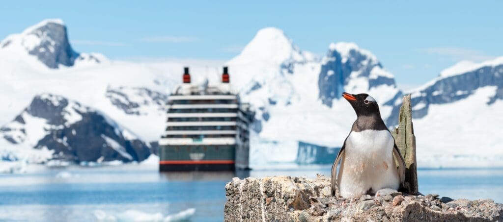 A Gentoo penguin sitting on its rock nest with a chick, while a cruise ship sails in the bay behind it, surrounded by snow-capped mountains.