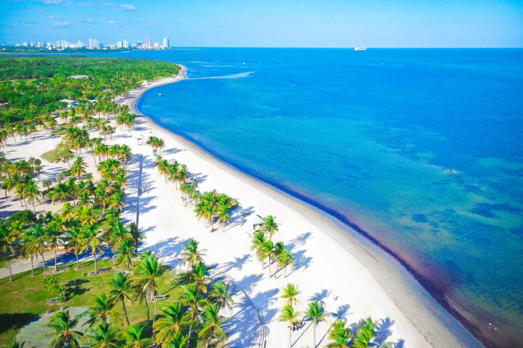 High aerial view of a wide white sand beach lined with vibrant green palm trees next to turquoise ocean water, with the Miami skyline in the distance.