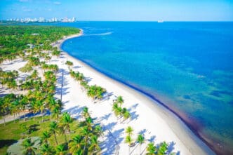 High aerial view of a wide white sand beach lined with vibrant green palm trees next to turquoise ocean water, with the Miami skyline in the distance.