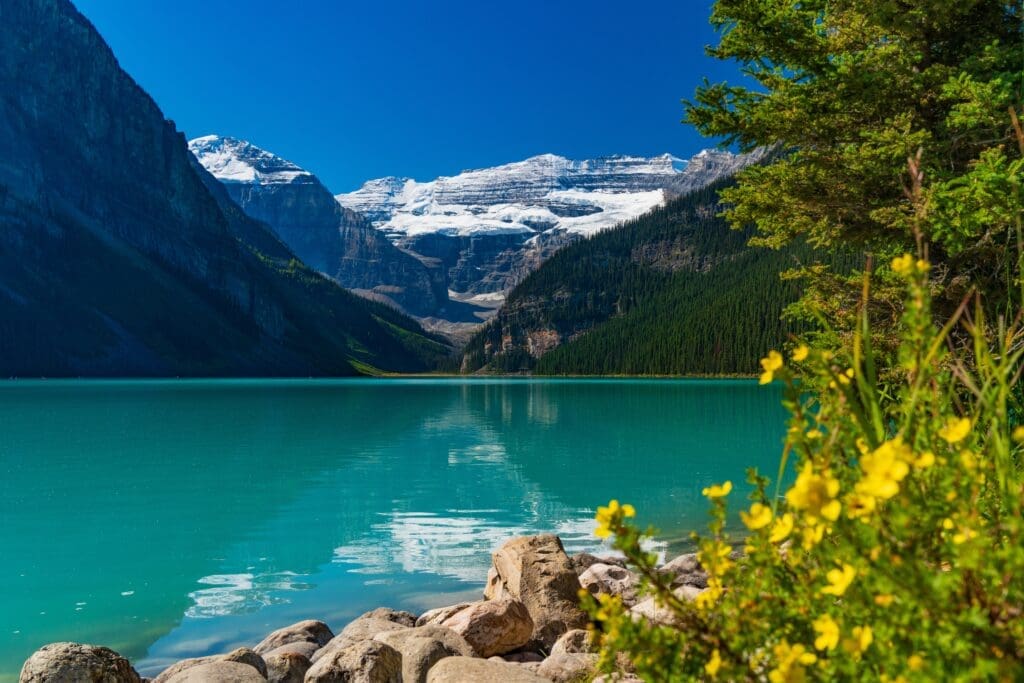 Vibrant turquoise Lake Louise in Banff National Park, with snow-covered mountains.