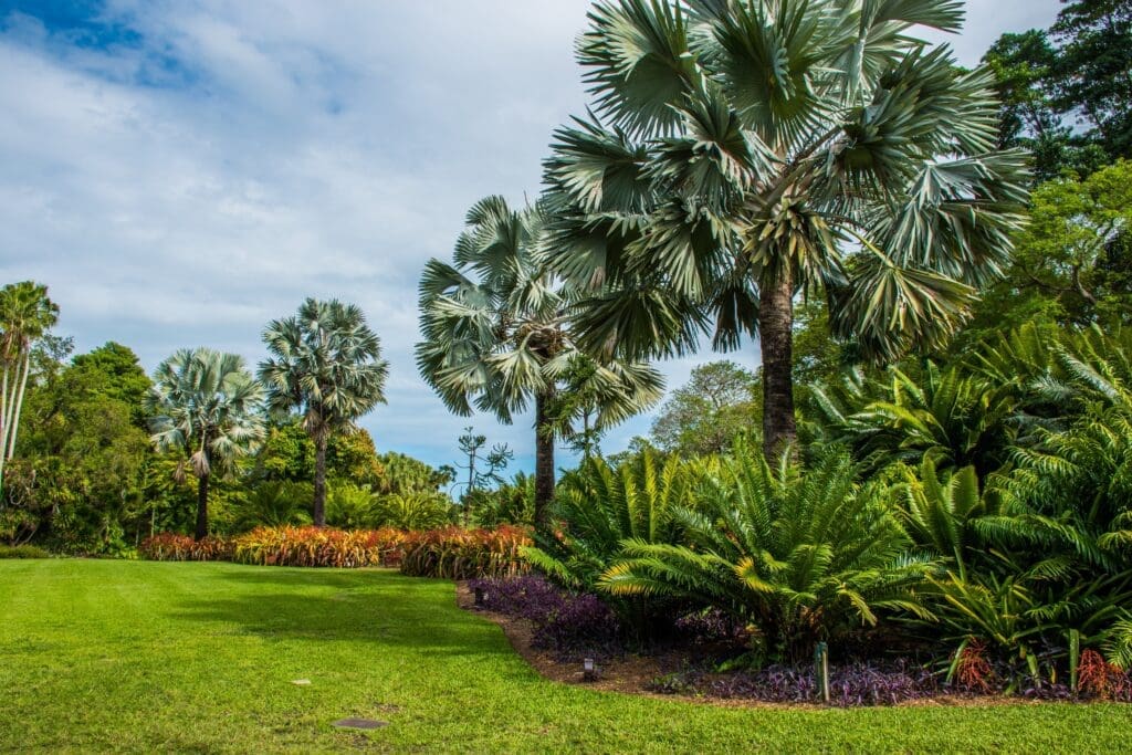 A landscaped lawn at Montgomery Botanical Center with large fan palms and tropical plants.