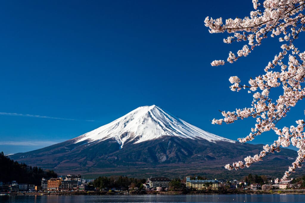 Mount Fuji with its snow cap, seen over a lake with cherry blossoms in the foreground.