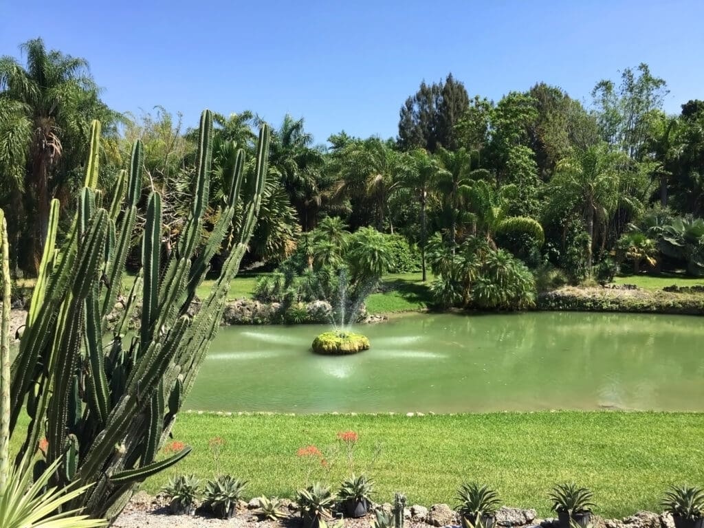 A view of Pinecrest Gardens with a large cactus, a pond with a fountain, and lush tropical trees.