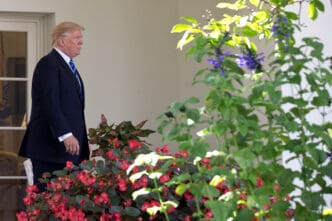 Donald Trump walks past lush red flowers and greenery outside the White House