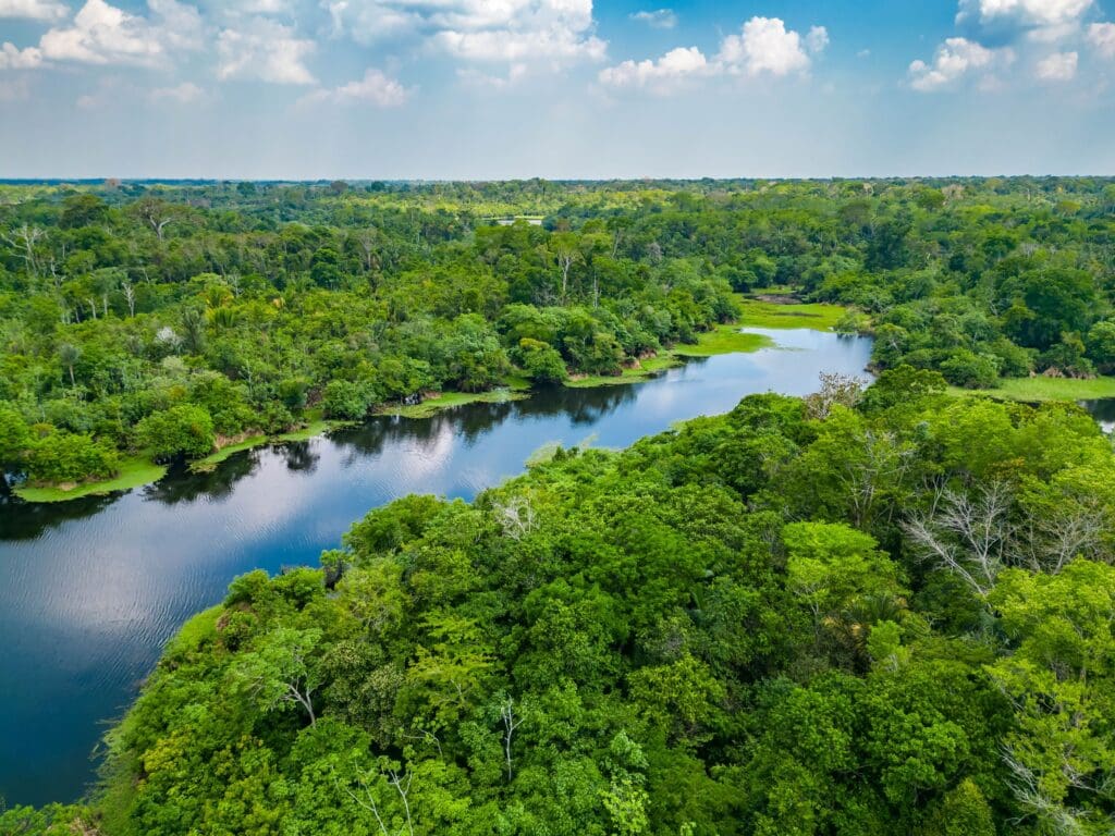Wide aerial view of a dark, meandering river flowing through an endless, dense green tropical rainforest canopy in the Amazon.