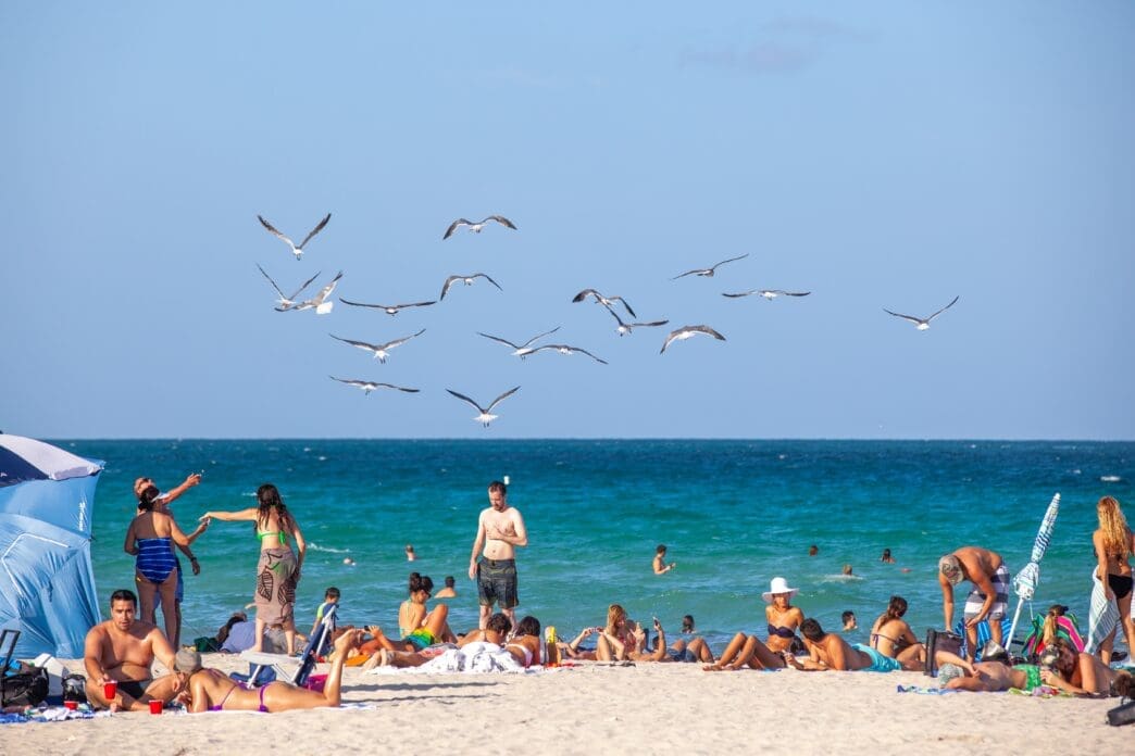 People enjoying the white sand of South Beach, Miami, with Ocean Drive hotels and flying seagulls nearby.
