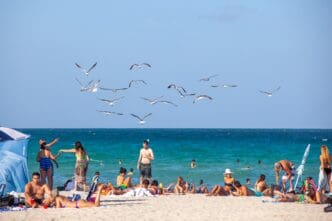 People enjoying the white sand of South Beach, Miami, with Ocean Drive hotels and flying seagulls nearby.