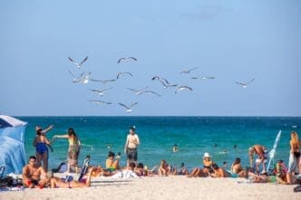 People enjoying the white sand of South Beach, Miami, with Ocean Drive hotels and flying seagulls nearby.
