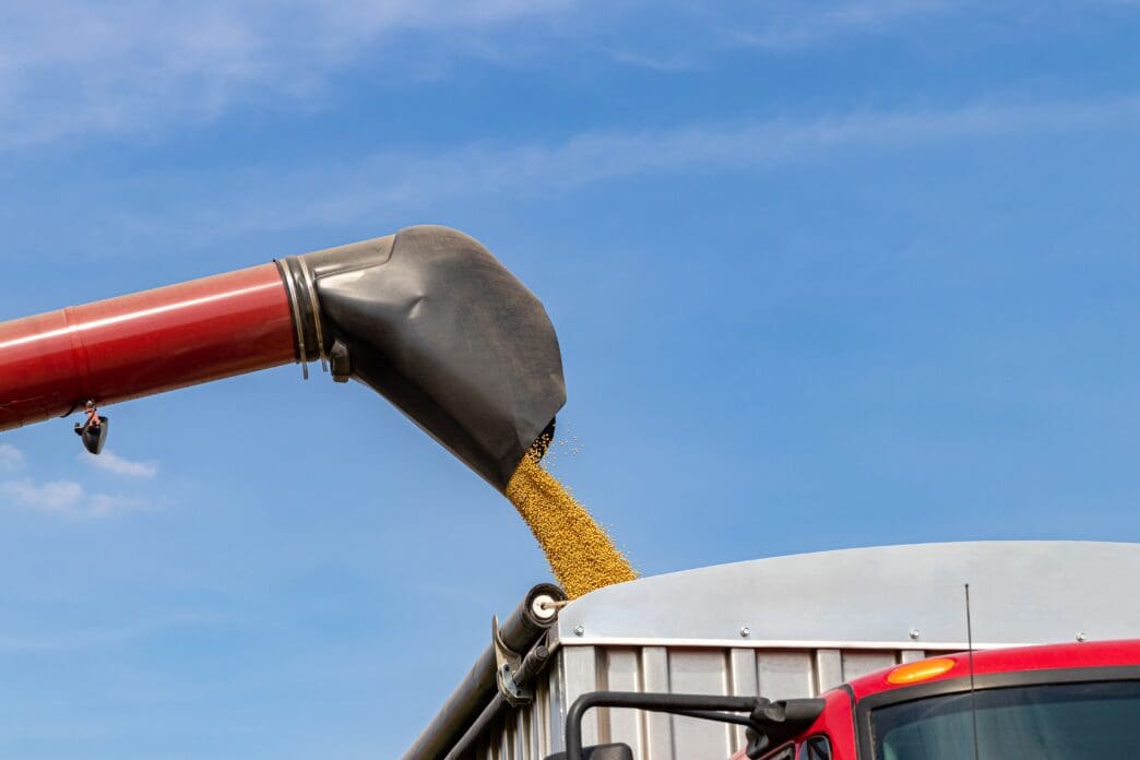 Combine harvester unloads soybeans into a grain truck under a blue sky