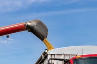 Combine harvester unloads soybeans into a grain truck under a blue sky