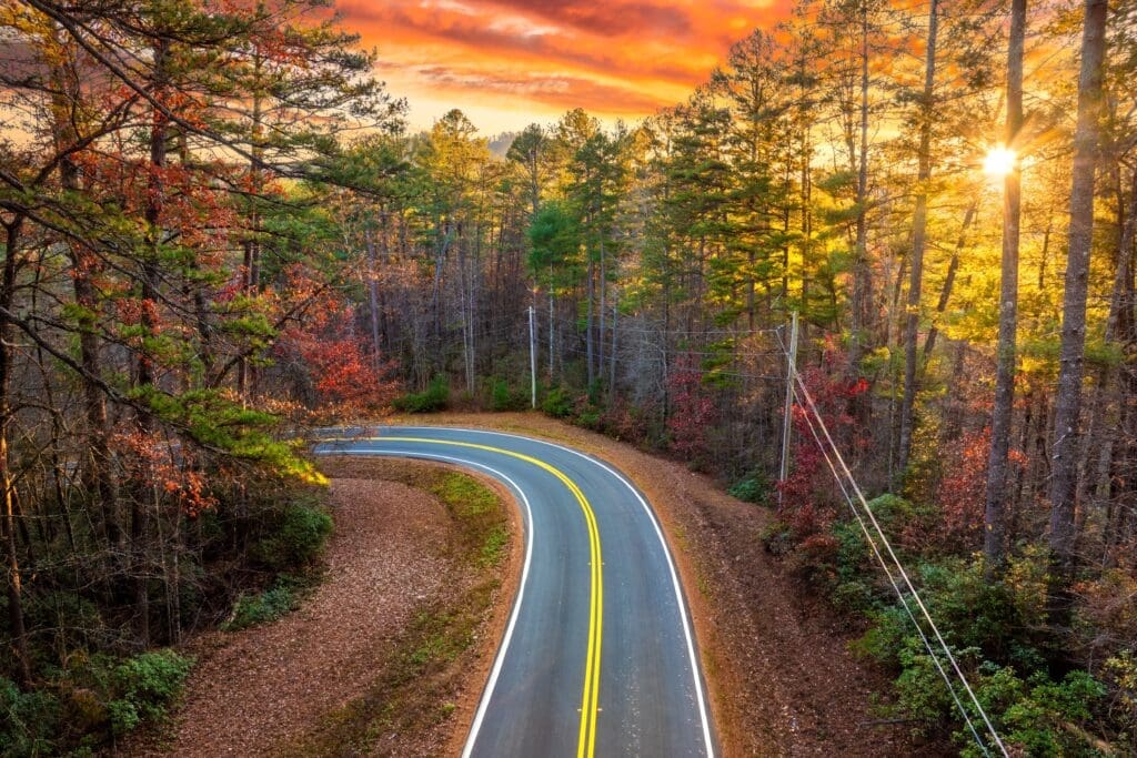 An elevated view of a winding mountain road with a double yellow line surrounded by dense forest in vibrant autumn colors at sunset.