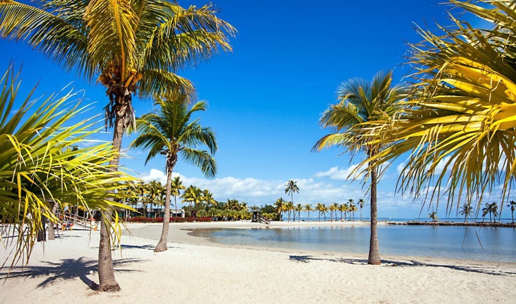 A sunny day at the Round Beach at Matheson Hammock Park in Miami, with palm trees and calm water.