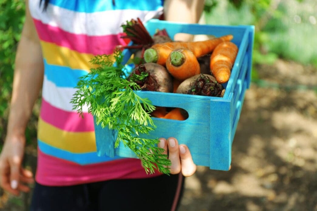 Female hands hold a wooden crate filled with freshly harvested vegetables in a garden setting.