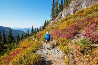 A person hikes along a trail surrounded by trees with colorful fall foliage.