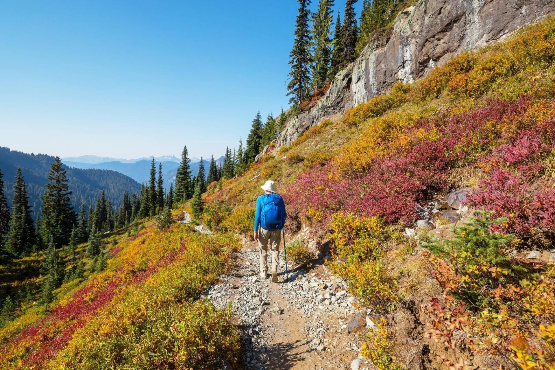 A person hikes along a trail surrounded by trees with colorful fall foliage.