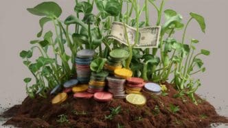 Close-up of plants growing out of dirt with a stack of coins and a banknote visible.
