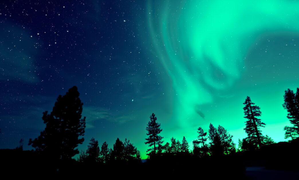 Brilliant green aurora borealis illuminates the starry night sky above a dark silhouette of pine trees.
