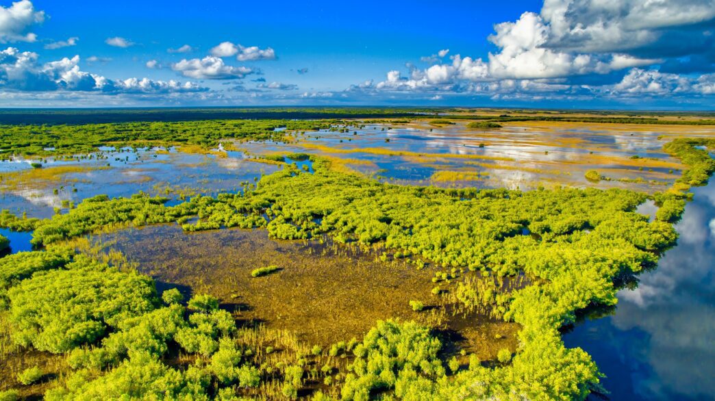 Panoramic aerial view of the lush, watery landscape of Everglades National Park under a bright sky.