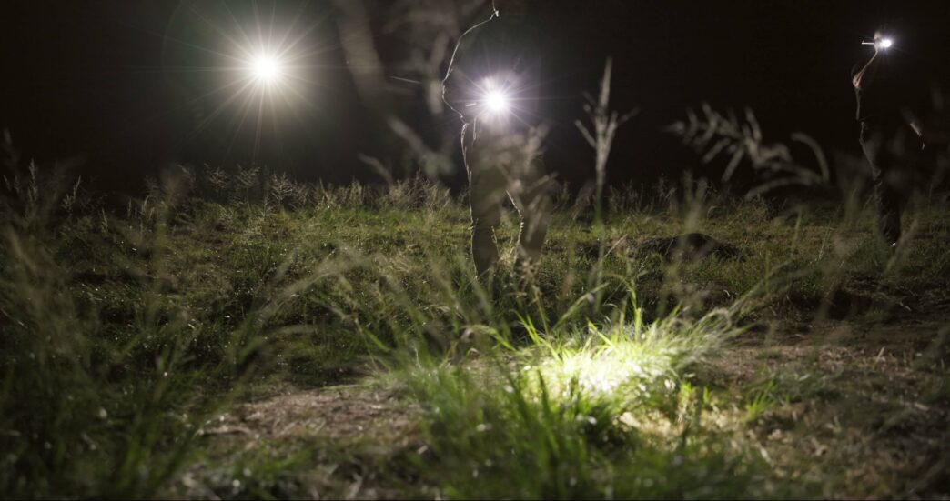 Detective and search party with flashlights searching field at night.
