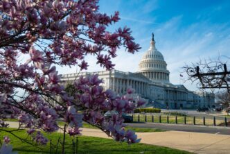 View of the US Capitol Building surrounded by spring flowers