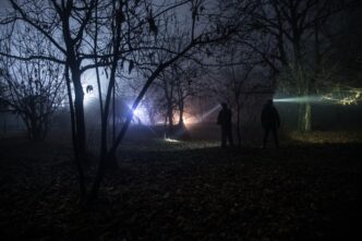 Police officers searching a dark forest with bright flashlights during a nighttime manhunt.