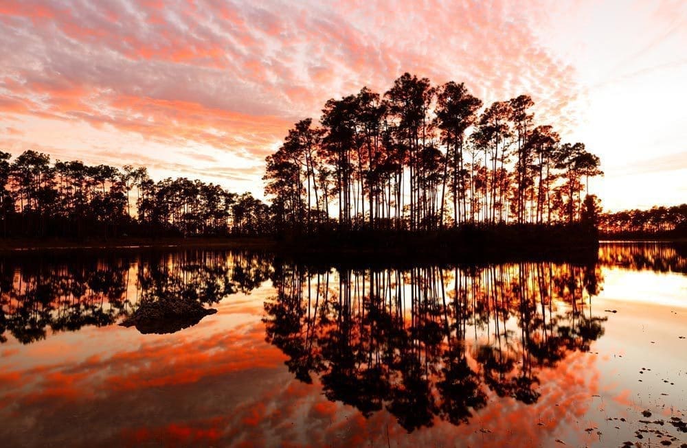 Beautiful Everglades National Park at sunset