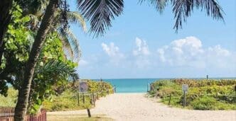 A sandy pathway leading to the ocean, framed by green dunes and palm trees, at North Beach Oceanside Park in Miami Beach.