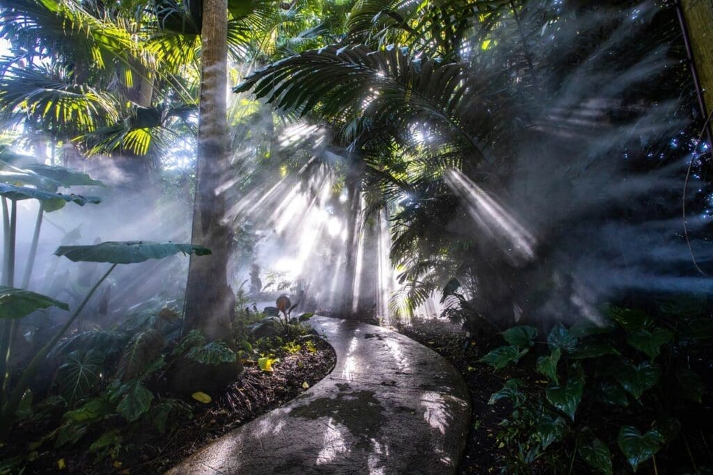 Richard H. Simons Rainforest - Fairchild Garden